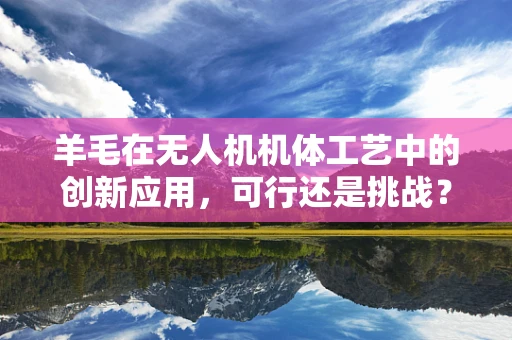 羊毛在无人机机体工艺中的创新应用，可行还是挑战？