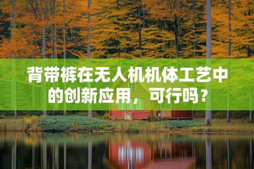 背带裤在无人机机体工艺中的创新应用，可行吗？