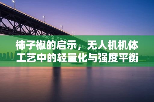 柿子椒的启示，无人机机体工艺中的轻量化与强度平衡