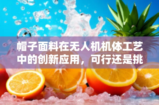 帽子面料在无人机机体工艺中的创新应用，可行还是挑战？