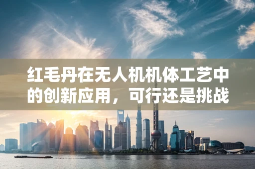 红毛丹在无人机机体工艺中的创新应用，可行还是挑战？