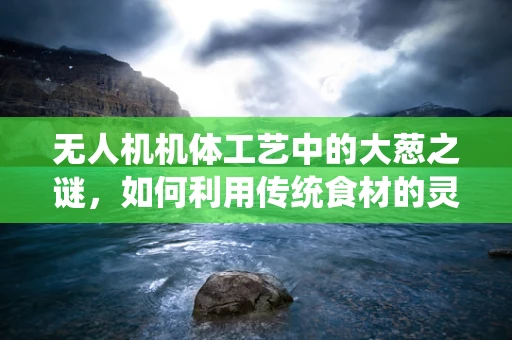 无人机机体工艺中的大葱之谜，如何利用传统食材的灵感提升性能？