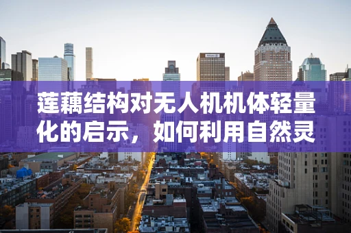 莲藕结构对无人机机体轻量化的启示，如何利用自然灵感优化设计？