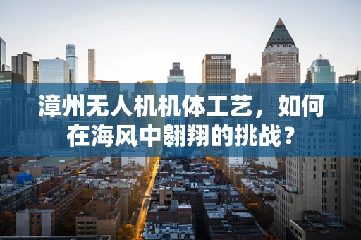 漳州无人机机体工艺，如何在海风中翱翔的挑战？