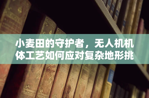 小麦田的守护者，无人机机体工艺如何应对复杂地形挑战？